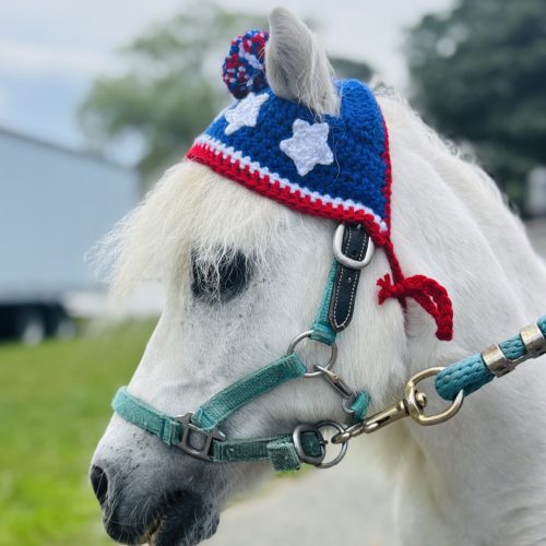 July 4th Coconut