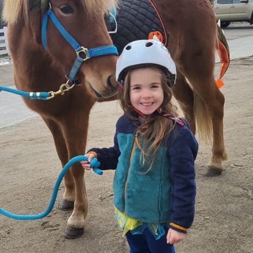 Zoe horse