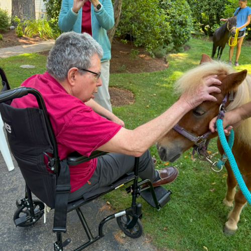 wheelchairandcalvin